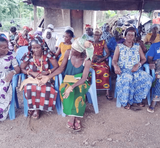 depot pharmaceutique image 3